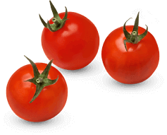 tomato