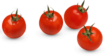 tomato